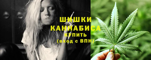 PSILOCYBIN Медногорск
