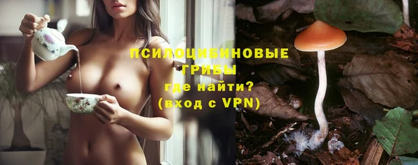 PSILOCYBIN Медногорск