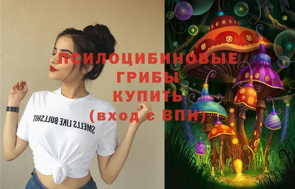 PSILOCYBIN Медногорск