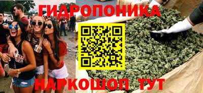 сатива Канаш